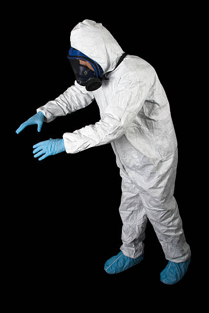 Best Attic Mold Removal  in East Grand Forks, MN